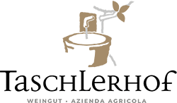 Weingut Taschlerhof – Peter Wachtler
